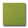 Amtico Standard Stardust 18 X 18 Stardust Kiwi Vinyl Flioring