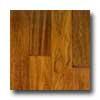 Anderson Cimarron Sabino Hardwood Flooring