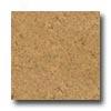 Apc Cork Naturals Mars Cork Flooring