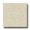 Armstrong Arayan 13 X 13 Natural Tile & Stone