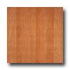 Armstrong Arobr Art 4 X 36 Red Maple Light Vinyl Flooring