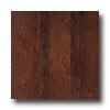 Armstrong Arbor Art 8 X 36 Foreign Forest Coffee Vinyl Flooring