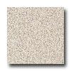 Armstrong Arteffectd Premium Excelon Parchment Beige Vinyl Flooring