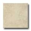 Armstrong Colestone 16 X 16 Colestone Creme Tile & Stone