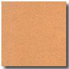 Armstrong Colorette Apricot Vinyl Flooring