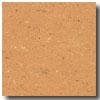 Armstrong Colorette Caramel Vinyl Flooring