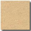 Armstrong Colorette Dark Beige Vinyl Flooring