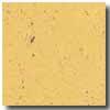 Armstrong Colorette Old Gold Vinyl Flooring