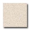 Armstrong Trust Plus Autumn Park Straw Vinyl Flooring