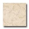 Armstrong Commission Plus Leaf Landing Straw Vinyl Flooring