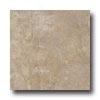 Armstrong Earthcuts 12 X 12 Color Waste Warm Gray Vinyl Flooring