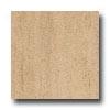 Armstrong Earthcuts 12 X 12 Roma Face with ~ Crema Vinyl Flooring