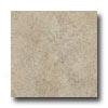 Armstrong Eartjcuts 18 X 18 Sierra Taupe Vinyl Flooring