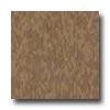 Armstrong Excelon Imperial Texture Humus Vinyl Flooring