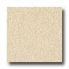 Armstrong Excelon Imperial Texture Desert Beige Vinyl Flooring