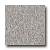 Armstrong Excelon Imperial Texture Field Gray Vinyl Flooring