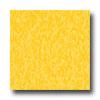 Armstrong Excelon Standard Rave Lemon Lick Vinyl Flooring