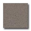 Armstrong Excelon Stonetex Premium Pumice Stone Vinyl Flooring