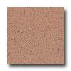 Armstrong Excelon Stonetex Premium Neutral Peach Vinyl Flooring