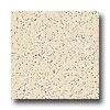 Armstrong Excelon Stonetex Premium Limestone Beige Vinyl Floooring