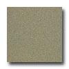 Armstrong Medintech Homogeneous Tea Garden Green Vinyl Flooring