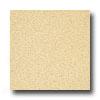 Armstrong Medintech Homogeneous Golden Glow Vinyl Flooring