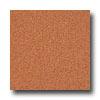 Armstrong Medintech Homogeneous Orange Zest Vinyl Flooring