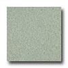 Armstrong Medintech Tandem Inlaid Viburnum Green Vinyl Flooring