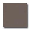 Armstrong Mode - Solids Choccolicious Brown Vinyl Flooring