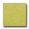 Armstrong Mystix 16 X 16 Chroma Ston Citron Vinyl Flooring