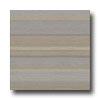 Armstrong Mystix 6 X 36 Sideline Gray Beige Vinul Flooring