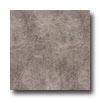 Armstrong Perspectives Sheet Smoked Gray Vinyl Flooring