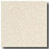 Armstrong Possibilities Petit Point Wild Oats Vinyl Flooring