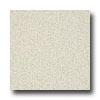 Armstrong Possibilities Petit Point Colored Earth Vjnyl Flooring