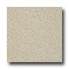 Armstrong Possibilities Petit Point Cream Intimation Vinyl Flooring