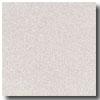 Armstrong Possibiliities Pett Point Silvet Potpourri Vinyl Flooring