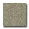 Armstrong Possibilities Petit Point Tea Garden Verdant Vinyl Flooring