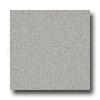 Armstrong Possibilities Petit Point Ash Gray Vinyl Flooring