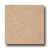 Armstrong Possibilitues Petit Point Ginger Peach Vinyl Flooring