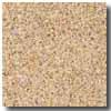 Armstrong Safeguard Design Slip-retardant Gold VinylF looring