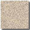 Armstrong Safeguarf Slip-retardant Beige Vinyl Flooring