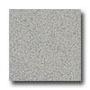 Armstrong Safeguard Spa - Slip Retardant Light Gray Vinyl Flooring