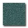 Armstrong Safety Zone - Slip Retardant Dark Basil Vinyl Flooring