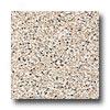 Armstrong Safety Zone - Slip Retardant Cobblestone Peach Vinyl Flooring