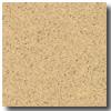 Armstrong Stone Rectangle 12 X 24 Camaro Sand Beige Vinyl Flooring