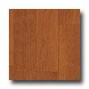 Armstrong Timberline Medium Cherry Vinyl Flooring