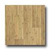 Armstrong Timberlinee Natural Serious Bamboo Vinyl Flooring