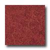 Armstrong Translatonos Cherry Red Vinyl Flooring