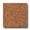 Armstrong Translations Cinnamon Vinyl Flooring