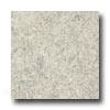 Armstrong Translations Frost Gray Vinyl Flooring